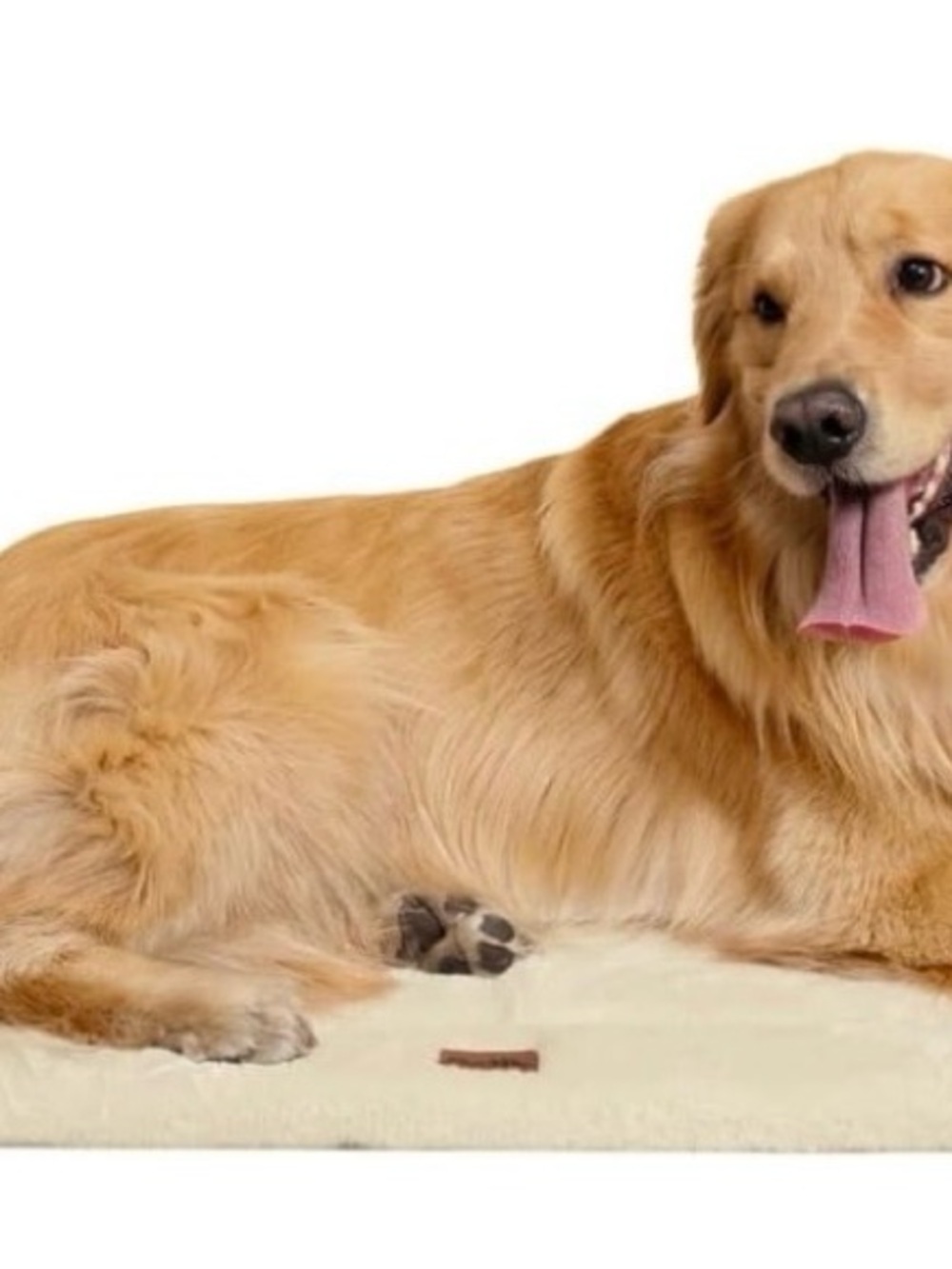Plush Cream Dog Bed Pad - Comfortable Pet Mat